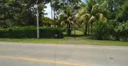 Farm in Carretera Vieja a León