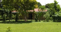 Farm in Carretera Vieja a León