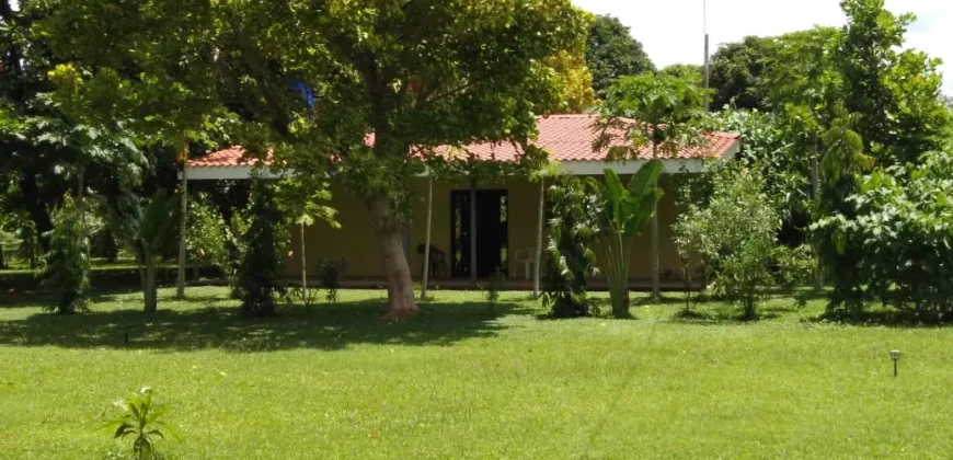 Farm in Carretera Vieja a León