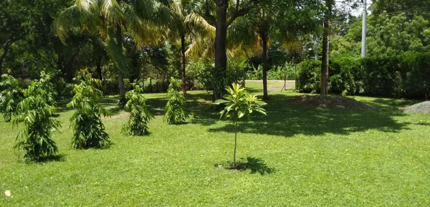 Farm in Carretera Vieja a León