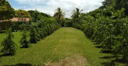 Farm in Carretera Vieja a León