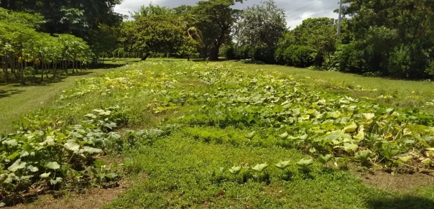 Farm in Carretera Vieja a León