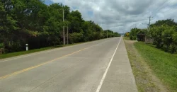 Farm in Carretera Vieja a León