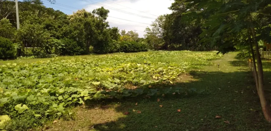 Farm in Carretera Vieja a León