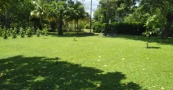 Farm in Carretera Vieja a León