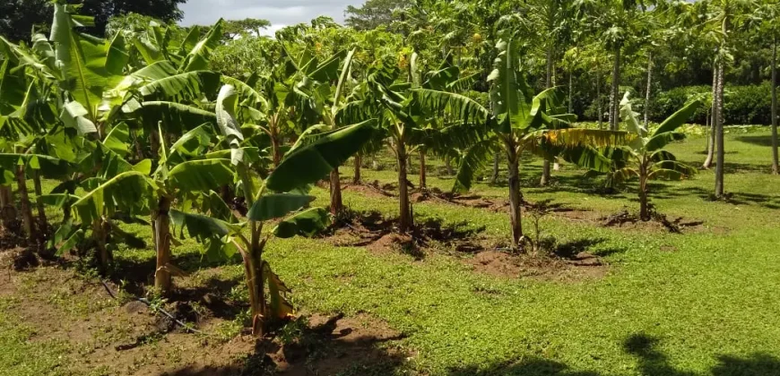 Farm in Carretera Vieja a León