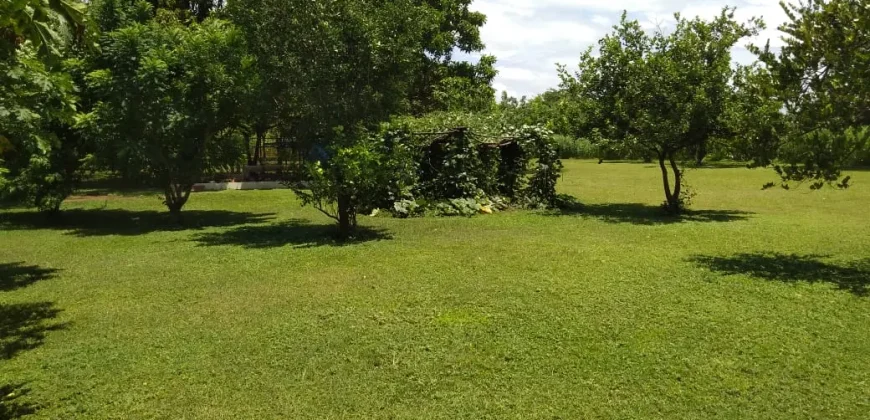 Farm in Carretera Vieja a León