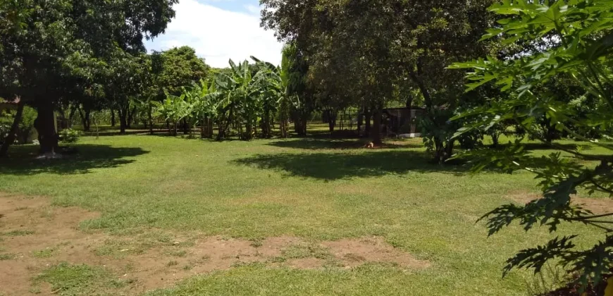 Farm in Carretera Vieja a León