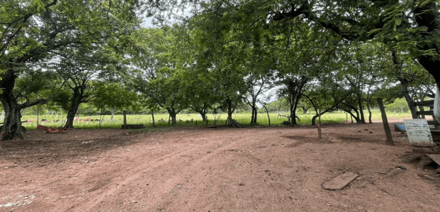 Finca en venta en Juigalpa Chontales