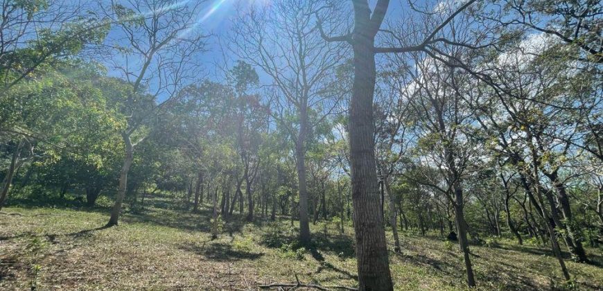 Finca en Venta en San Juan de la Concepción, Masaya