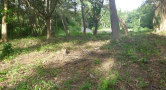 Terreno en venta en Intermezzo del Bosque – Mananagua