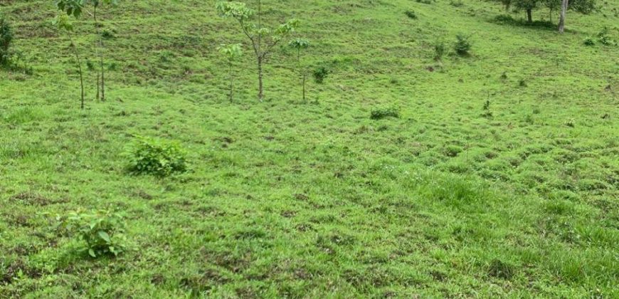 Finca en Venta en Comarca El Tule y Sacal, Boaco