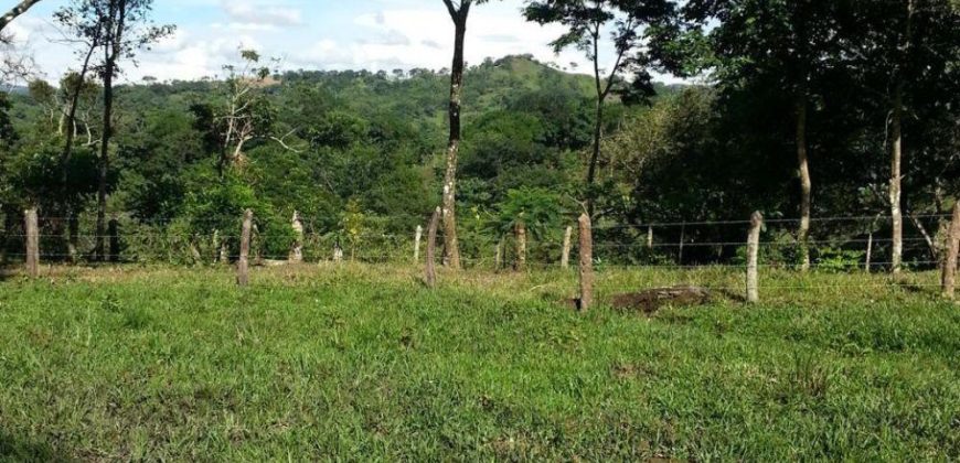 Finca en Venta en Comarca El Tule y Sacal, Boaco