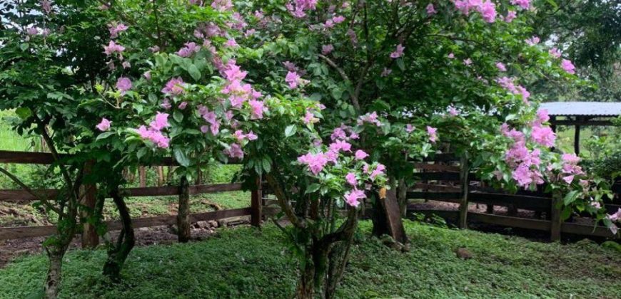 Finca en Venta en Comarca El Tule y Sacal, Boaco