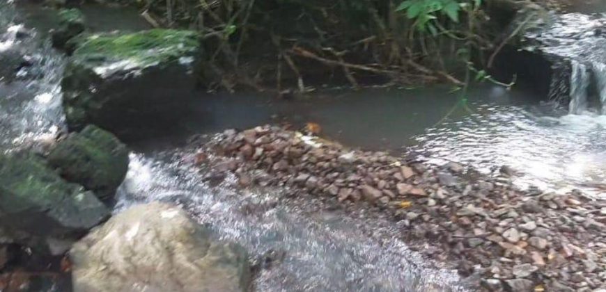 Finca en Venta en Comarca El Tule y Sacal, Boaco