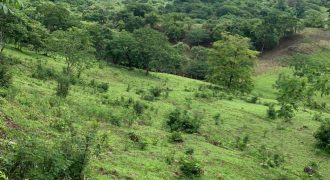 Finca en Venta en Comarca El Tule y Sacal, Boaco