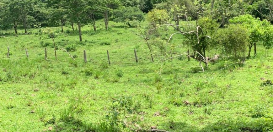 Finca en Venta en Comarca El Tule y Sacal, Boaco